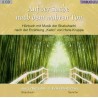 ZURMUEHLE JUERG - Auf der Suche nach dem wahren Ton - 2CD