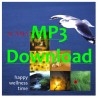 ACAMA - Happy Wellness Time - MP3