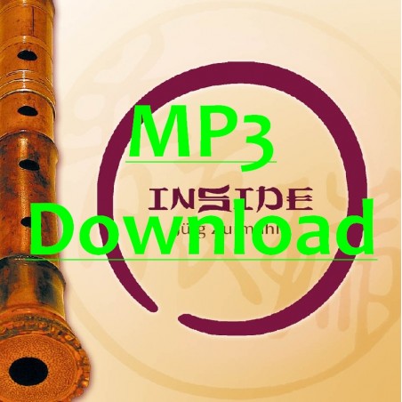 ZURMUEHLE JUERG - Inside - MP3 ZURMUEHLE JUERG - Inside - MP3