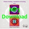 MISHRA SHYAM KUMAR - Chakra Healing, Kundalini activating CD 1 Wurzel- & Zentral Chakra - MP3