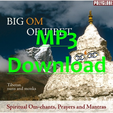TIBETAN MONKS AND NUNS - Big Om of Tibet - MP3