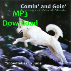COMINÂ´AND GOINÂ´- Snowflakes In June - MP3