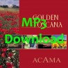 ACAMA - Golden Toscana - MP3