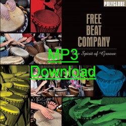 THE FREEBEAT COMPANY - The Spirit Of Groove - mp3