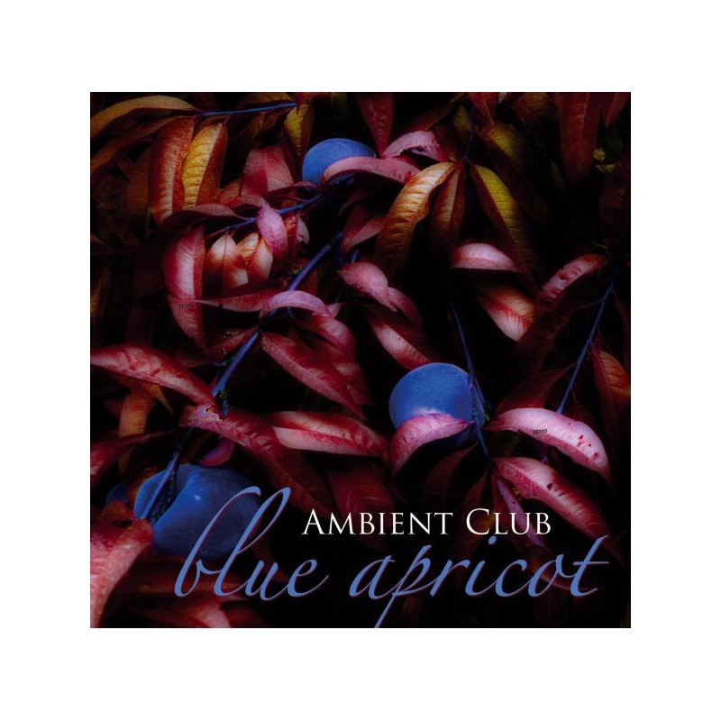 AMBIENT CLUB - Blue Apricot