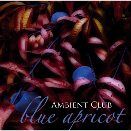 AMBIENT CLUB - Blue Apricot