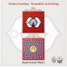MISHRA SHYAM KUMAR - Chakra Healing, Kundalini activating CD 4 Scheitel- & Stirn Chakra